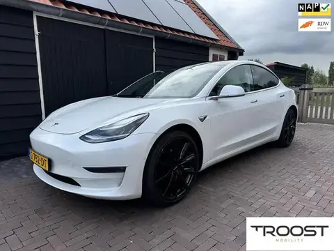 Used TESLA MODEL 3 Electric 2019 Ad 