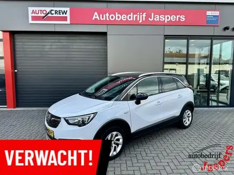 Used OPEL CROSSLAND Petrol 2019 Ad 