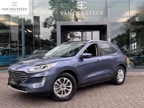 Used FORD KUGA Hybrid 2021 Ad 