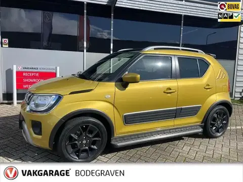 Annonce SUZUKI IGNIS Hybride 2021 d'occasion 