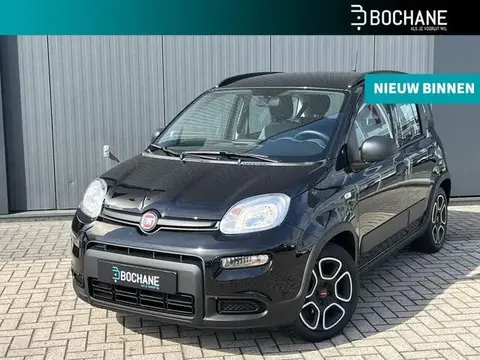 Annonce FIAT PANDA Hybride 2022 d'occasion 