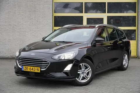 Annonce FORD FOCUS Diesel 2019 d'occasion 