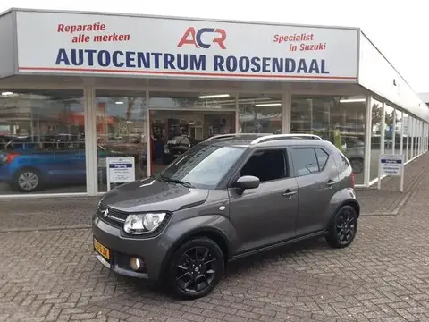 Used SUZUKI IGNIS Petrol 2018 Ad 