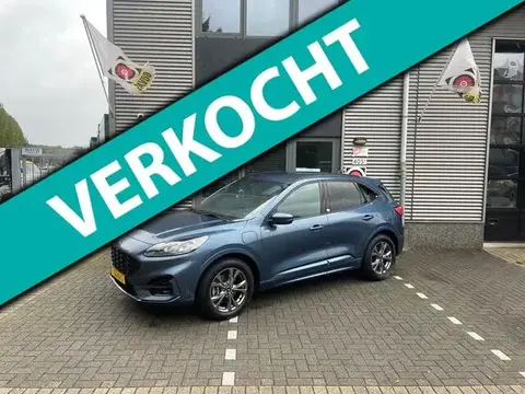 Used FORD KUGA Hybrid 2020 Ad 