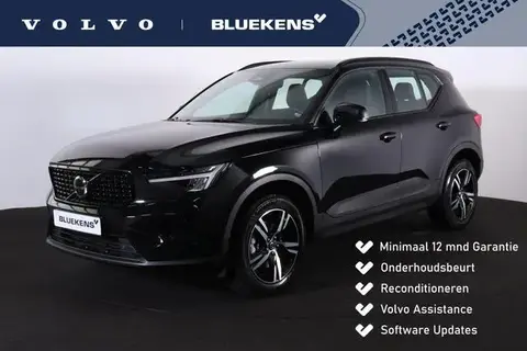 Used VOLVO XC40 Hybrid 2024 Ad 