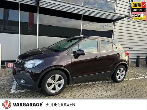 Used OPEL MOKKA Petrol 2016 Ad 