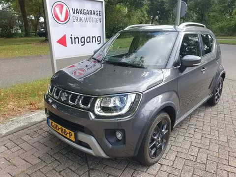 Annonce SUZUKI IGNIS Hybride 2020 d'occasion 