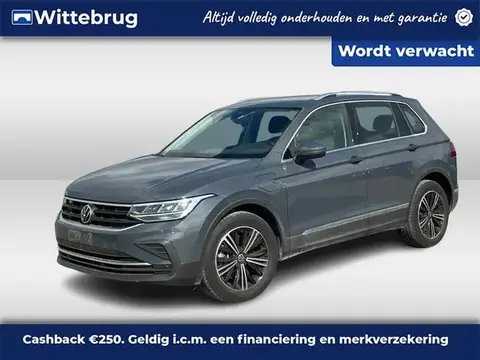 Used VOLKSWAGEN TIGUAN Hybrid 2021 Ad 