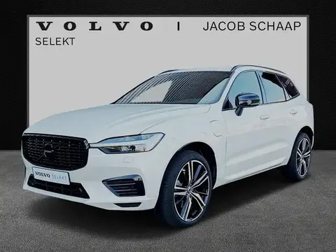 Used VOLVO XC60 Hybrid 2021 Ad 