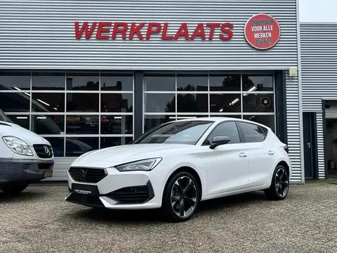 Annonce CUPRA LEON Hybride 2022 d'occasion 