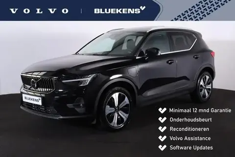 Used VOLVO XC40 Hybrid 2022 Ad 