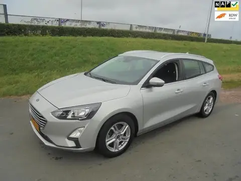 Used FORD FOCUS Petrol 2019 Ad 