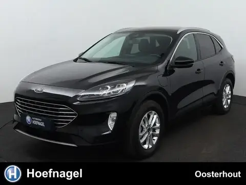 Used FORD KUGA Hybrid 2023 Ad 