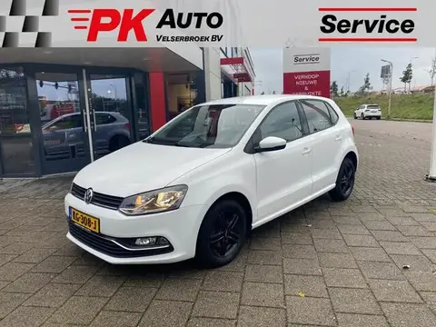 Used VOLKSWAGEN POLO Petrol 2016 Ad 