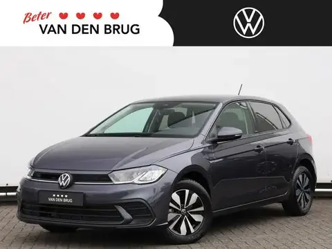 Used VOLKSWAGEN POLO Petrol 2023 Ad 