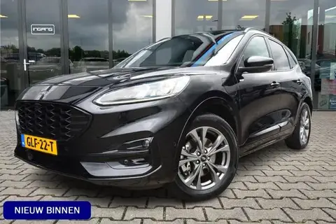 Annonce FORD KUGA Hybride 2021 d'occasion 