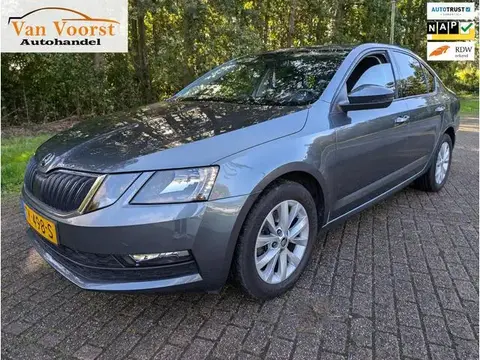 Used SKODA OCTAVIA Petrol 2018 Ad 