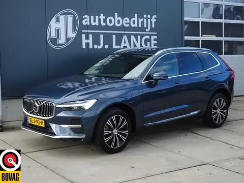 Annonce VOLVO XC60 Hybride 2021 d'occasion 