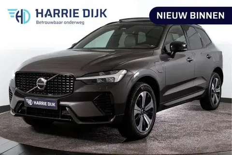 Used VOLVO XC60 Hybrid 2024 Ad 