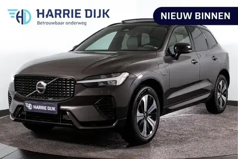 Used VOLVO XC60 Hybrid 2024 Ad 