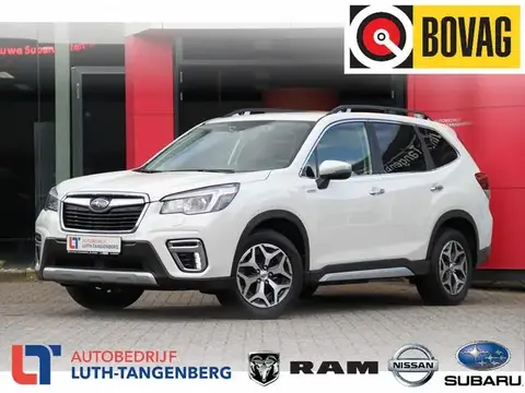 Annonce SUBARU FORESTER Essence 2020 d'occasion 