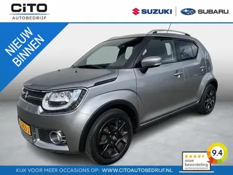 Annonce SUZUKI IGNIS Hybride 2018 d'occasion 