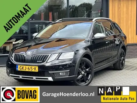 Annonce SKODA OCTAVIA Essence 2019 d'occasion 