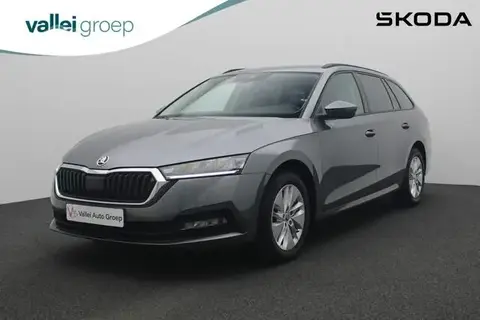 Annonce SKODA OCTAVIA Essence 2022 d'occasion 