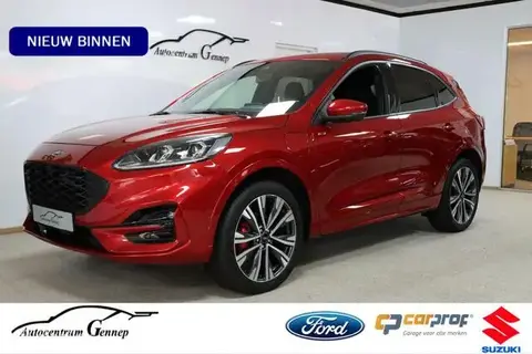 Annonce FORD KUGA Hybride 2023 d'occasion 