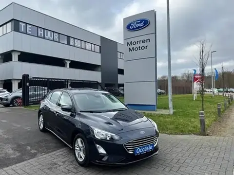 Used FORD FOCUS Not specified 2021 Ad 