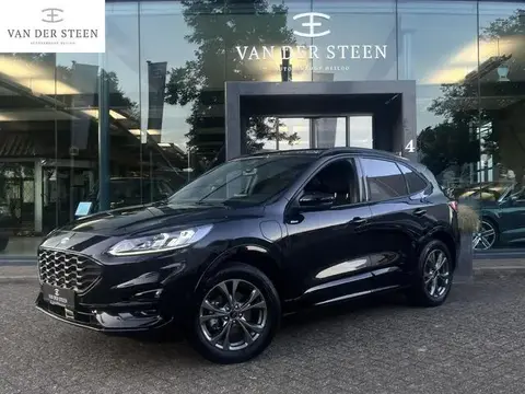 Annonce FORD KUGA Hybride 2023 d'occasion 