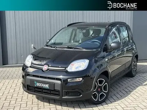 Annonce FIAT PANDA Hybride 2022 d'occasion 