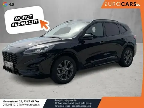 Used FORD KUGA Hybrid 2023 Ad 