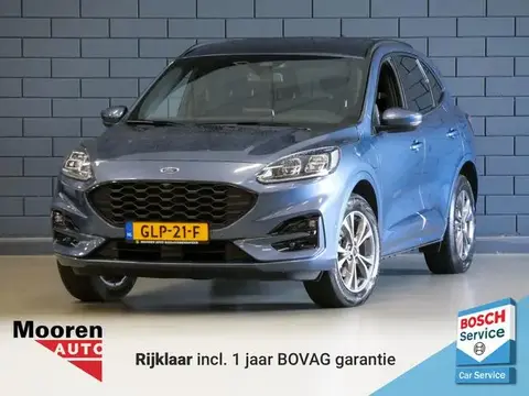 Annonce FORD KUGA Hybride 2023 d'occasion 