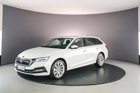 Used SKODA OCTAVIA Hybrid 2024 Ad 