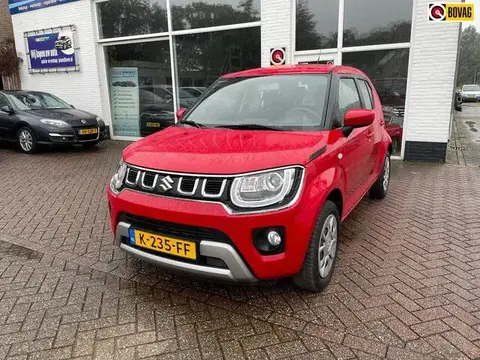 Annonce SUZUKI IGNIS Hybride 2020 d'occasion 