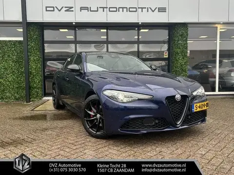 Used ALFA ROMEO GIULIA Diesel 2020 Ad 