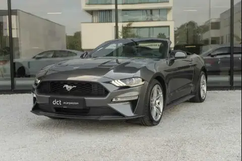 Annonce FORD MUSTANG Essence 2019 d'occasion 