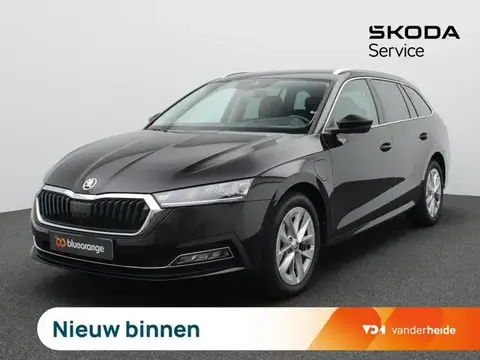 Used SKODA OCTAVIA Hybrid 2022 Ad 