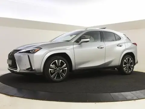 Used LEXUS UX Hybrid 2024 Ad 