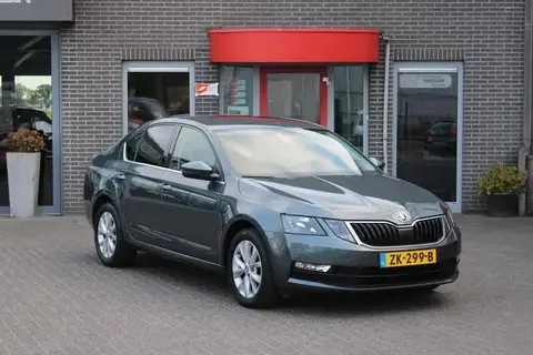 Used SKODA OCTAVIA Petrol 2019 Ad 