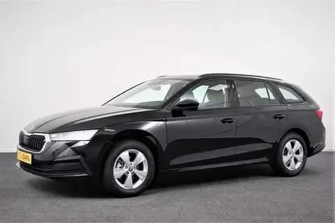 Used SKODA OCTAVIA Petrol 2021 Ad 