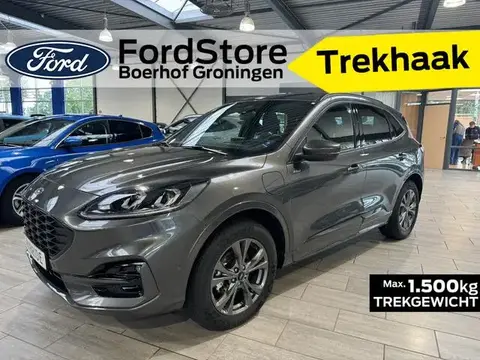 Used FORD KUGA Hybrid 2023 Ad 