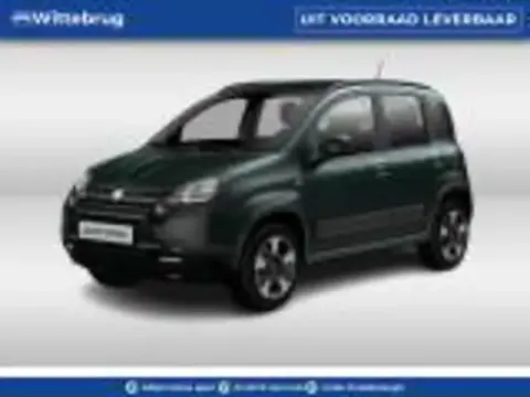 Annonce FIAT PANDA Hybride 2024 d'occasion 