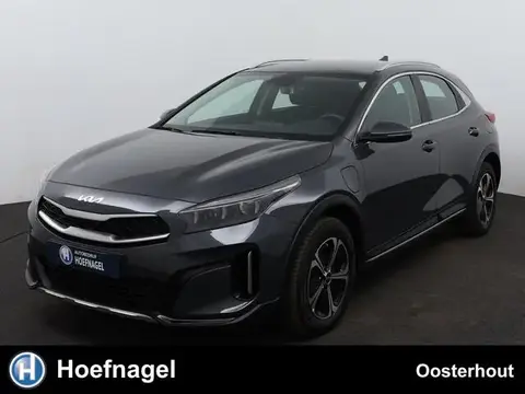 Annonce KIA XCEED Hybride 2023 d'occasion 