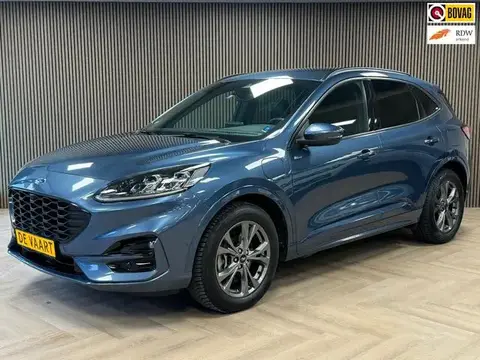 Used FORD KUGA Hybrid 2020 Ad 