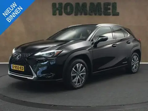 Used LEXUS UX Electric 2020 Ad 