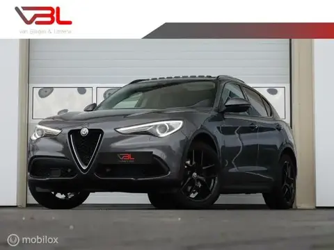 Used ALFA ROMEO STELVIO Petrol 2017 Ad 