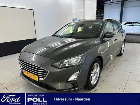 Used FORD FOCUS Petrol 2019 Ad 