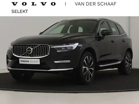 Used VOLVO XC60 Hybrid 2023 Ad 